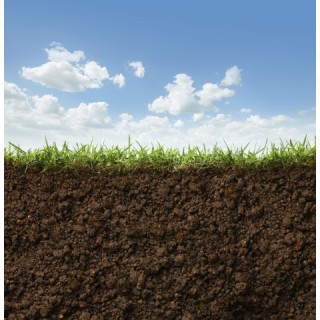 Menu ISDI (Arrêté du 12/12/2014)